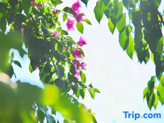 Bianjiang Yunhai Homestay - Image 1