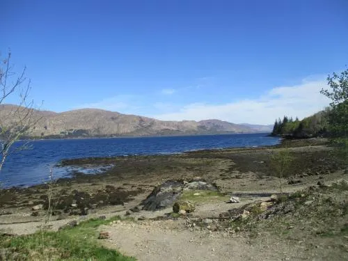 The Glen - Image 1
