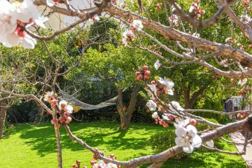 Il Giardino dei Gigli - Image 1