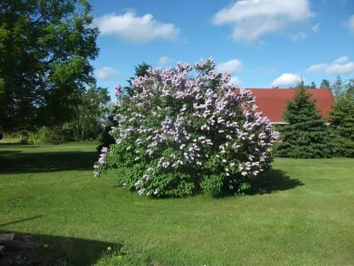 PEI Cottages - Image 1