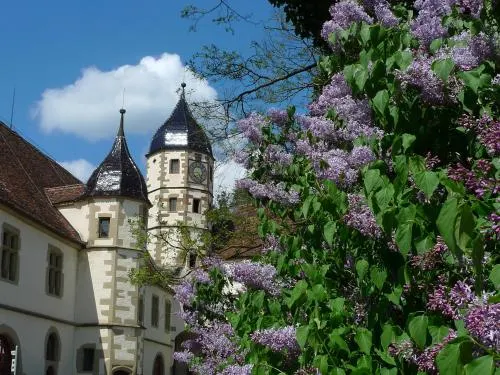 Schloss Haigerloch - Image 1
