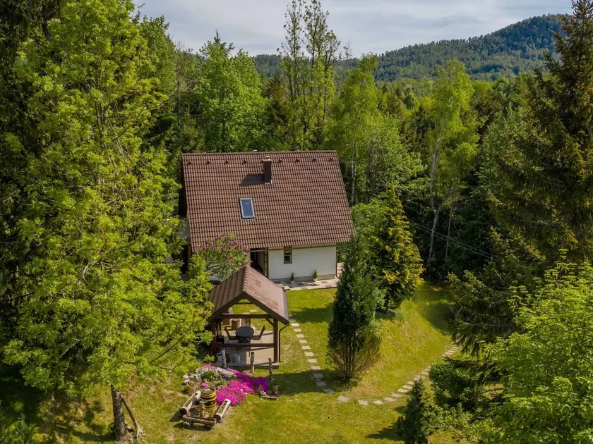 Detached house at 100m distance of the lake, surrounded by beautiful nature and with BBQ - Image 1