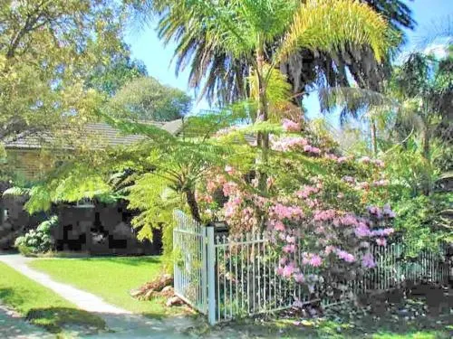 Accommodation Sydney North - Frenchs Forest 3 bedroom 1 bathroom house - Image 1