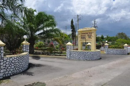 Tamarind Hotel - Image 1