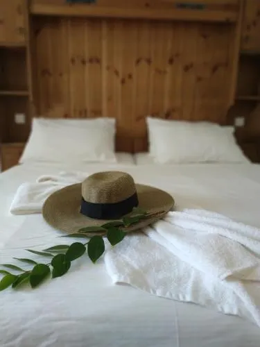 Amiad Joseph Well Country Inn - Image 1