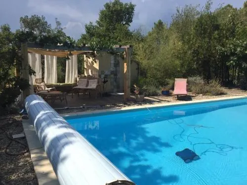 Les Mille Mimosas - Image 1