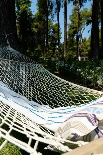 Sani Beach Forest Villa - Image 1