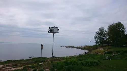 Lakeshore and Lakebreeze Lodges - Image 1