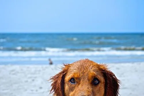 Coco's - Coastal style beach house with views - Image 1