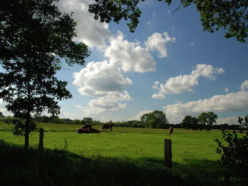 Cottage Near Lake & Forest with Garden in Gramsbergen - Image 1