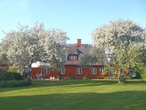 Søgårdens Bed & Breakfast - Image 1