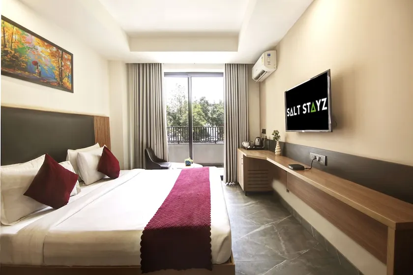SALTSTAYZ LE ICON - Image 1