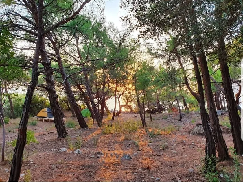 Kara Dere Park Orman - Image 1