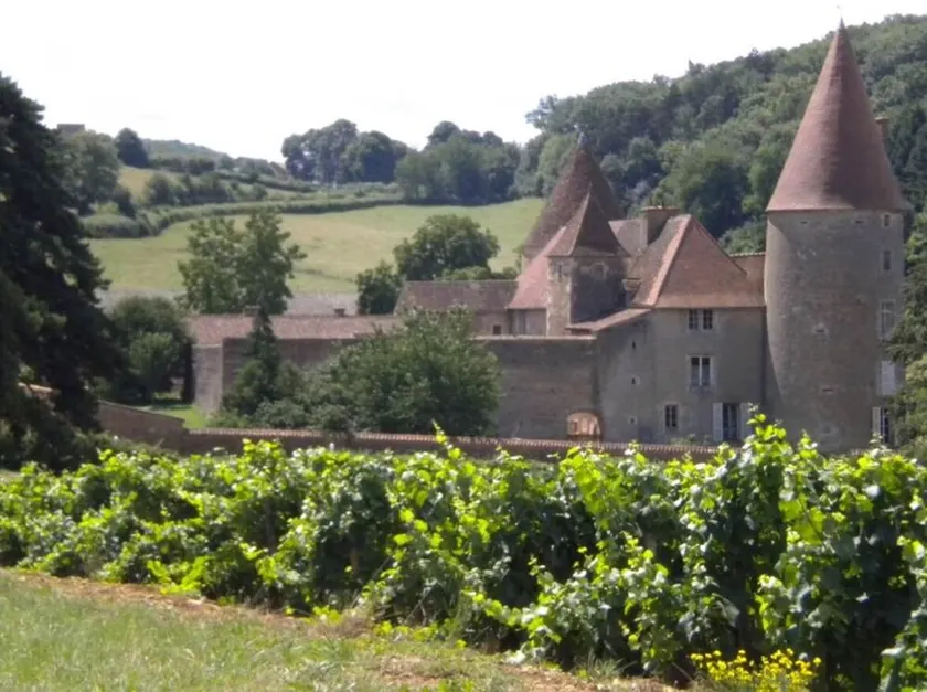 Chateau Des Nobles - Image 1