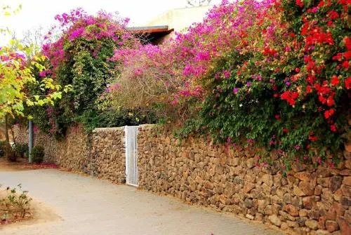 LeSaNel Guest House - Image 1
