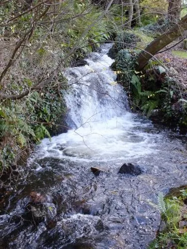 The Burn B&B - Image 1