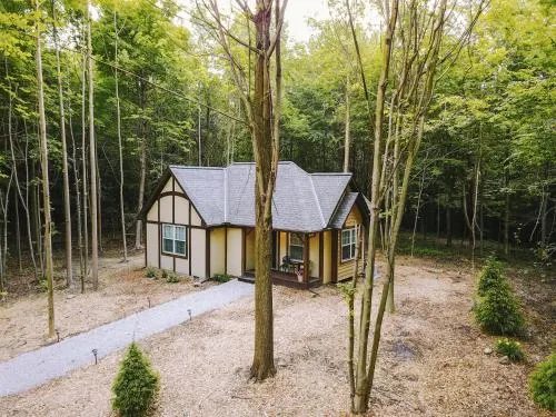 Vineyard Woods - Image 1