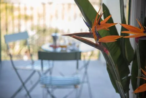 La Strelitzia Apartments - Image 1
