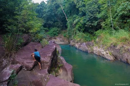 Jungle River - Image 1