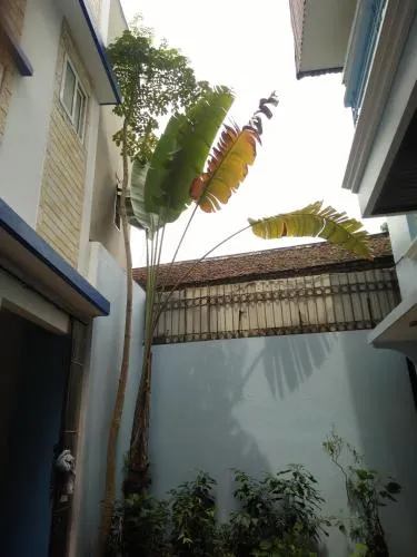 Blue House - Image 1