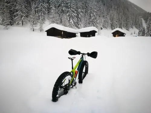 Chalet Bosbes - Image 1