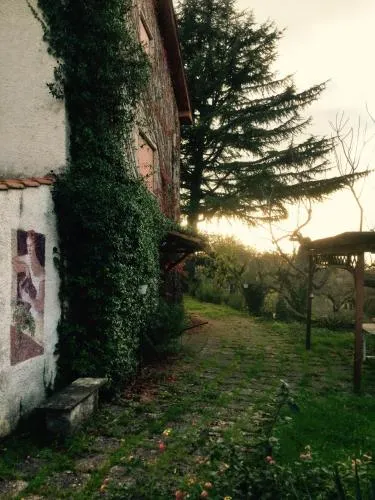 Casale Bambu - Image 1