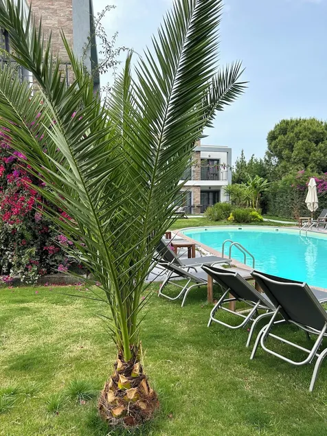 The Search Hotels Reserve Bodrum - Image 1