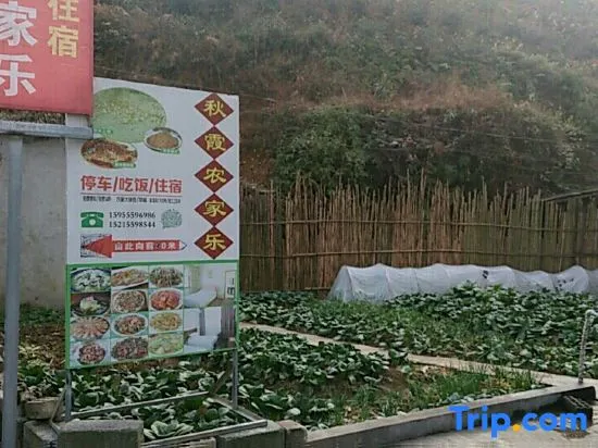 Huangshan Qiuxia Farm Stay - Image 1