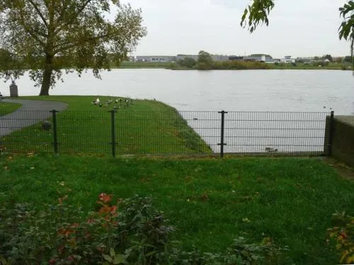 De Zilveren Karper - Image 1