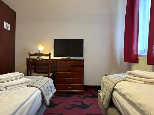 Hotel Restauracja Witnica - Image 1