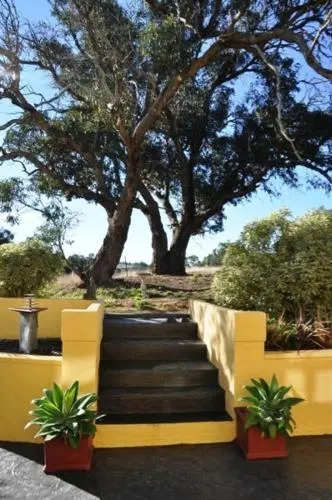 Eden Park Views - Image 1
