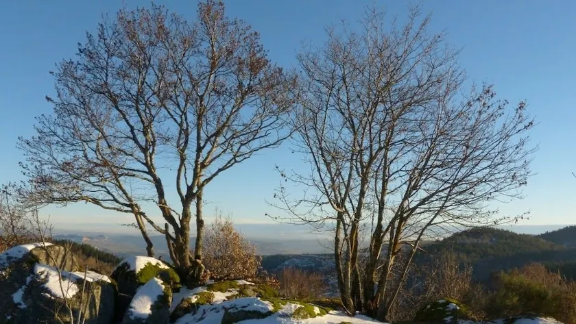 Le Chalet - Image 1