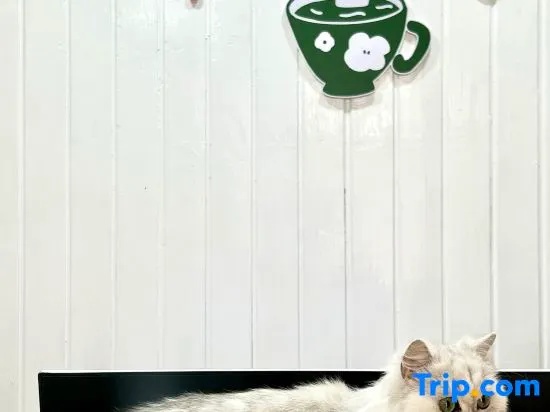 Soft Time Hotel - Image 1