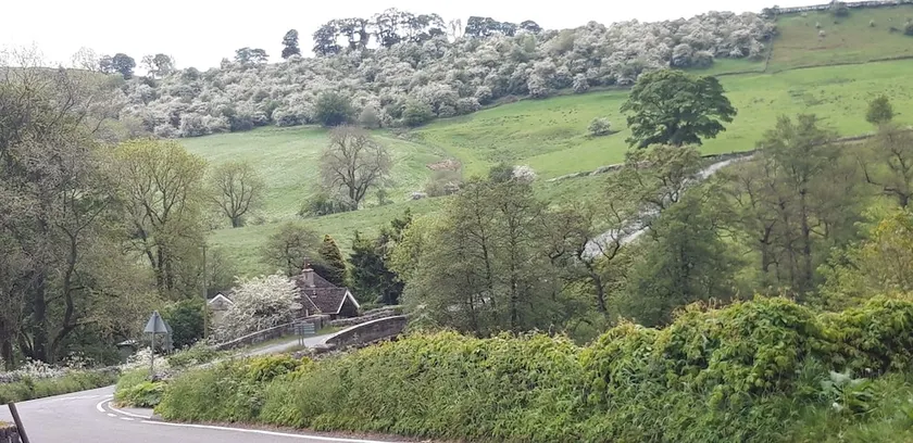 Rose Cottage - Image 1