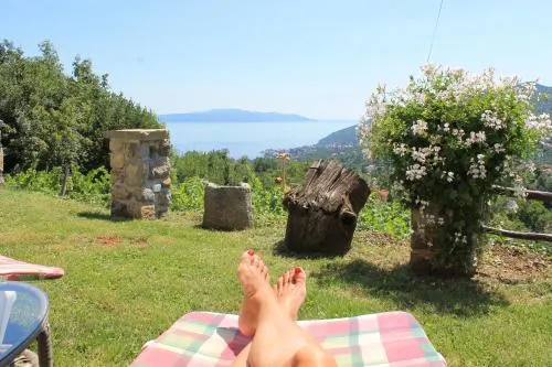 2 Apartments in Old Stone House near Opatija - Image 1