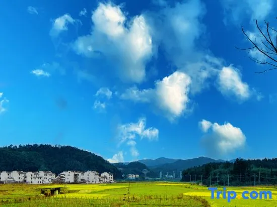 Wuyuan Huatianxi Thousand-Mu Rapeseed Flower Sea Photography Homestay - Image 1