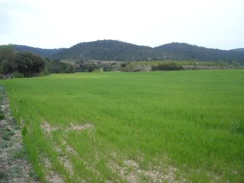 Casa Rural Masía Barbera - Image 1