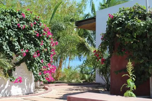 Jardim Dos Embondeiros - Image 1