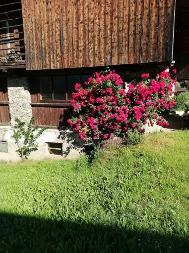 Ferienhaus Mattersberger - Image 1