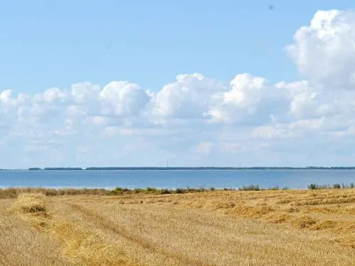 Holiday Home Martofte Iv - Image 1