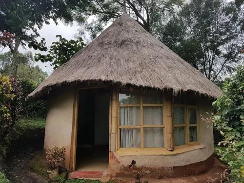 Kip's Eco Resort - Image 1