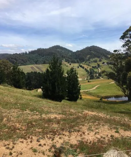 Kings Hill Accommodation - Image 1