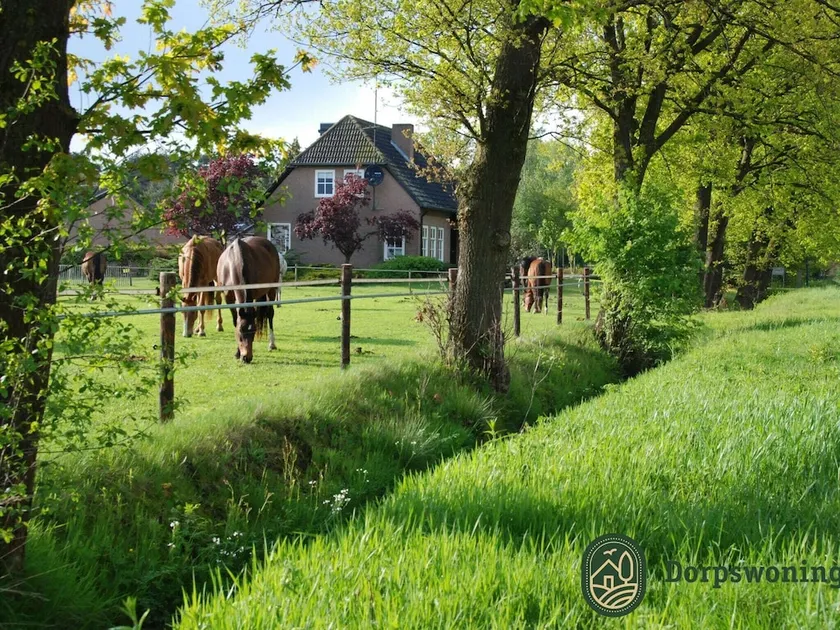 Authentic Holiday Home in North Brabant by the Forest - Image 1