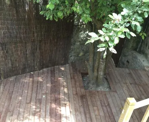 Mon Petit Coin De Paradis - Image 1