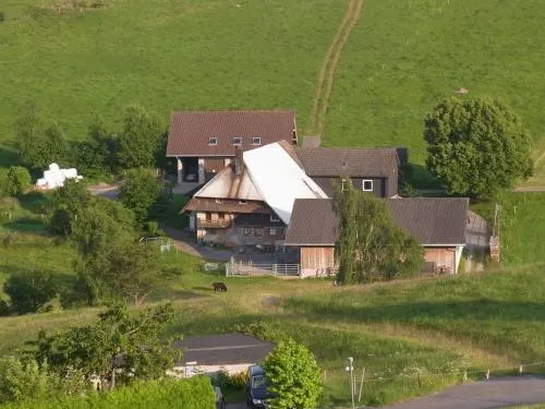 Hoflebauer - Image 1