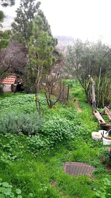 Holiday Home Barriada Corazon De Jesus - Image 1