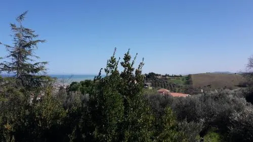 Al Profumo D'ulivo - Image 1