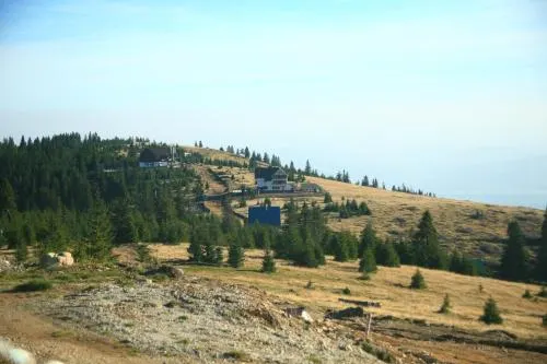 Pensiunea Muntele Alb - Image 1