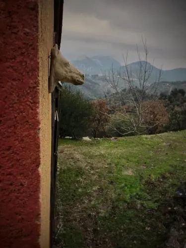 Toumba Eco Farm Guesthouses - Image 1
