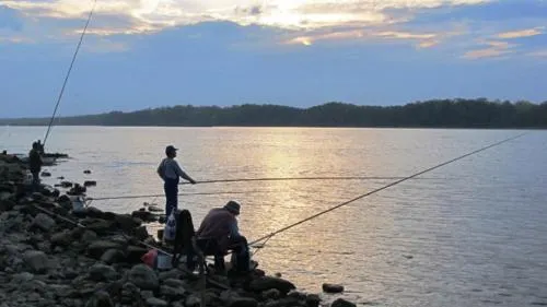The Old Catfish - Image 1